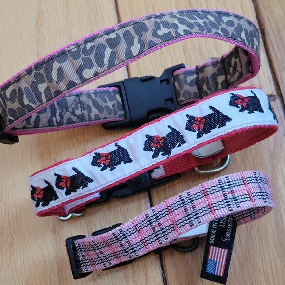 Dog collars, set of 4 - Picture 1 of 7